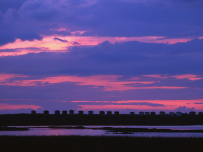 Silhouette Of Beach Huts At Dusk, Skane, Sweden by Jorgen Larsson Pricing Limited Edition Print image