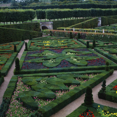 Box Hedges, Topiary Shapes And Dwarf Dahlias - Garden Of Love At Chateau De Villandry by Clive Nichols Pricing Limited Edition Print image