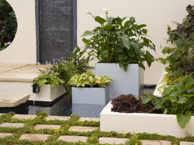 Hampton Court 2005: Roof Garden With Water And Metal Containers Planted, Designer: Fran Forster by Clive Nichols Pricing Limited Edition Print image