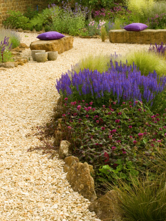 Gravel Garden With Rock Seats, Purple Cushions, Trifolium, Salvia X Supeba, Stipa Tenuissima by Clive Nichols Pricing Limited Edition Print image