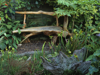 Back Garden With Wooden Bench, In Container Is Melanoselinum Decipiens, Designer: Peter Reid by Clive Nichols Pricing Limited Edition Print image