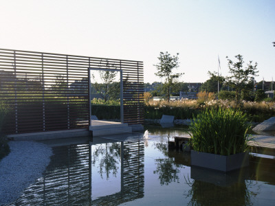 View Across Minimalist Water Garden With Fountain And Transparent Screen Designed By Ulf Nordfjell by Clive Nichols Pricing Limited Edition Print image