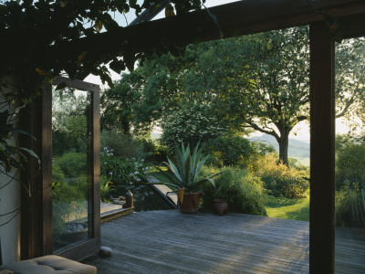 Agave Americana In Container And An Ash Tree, The Fovant Hut, Wiltshire by Clive Nichols Pricing Limited Edition Print image