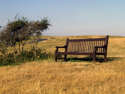 Vista Point In South Sussex, England, Empty Seat In A Field by Marcus Bleyl Pricing Limited Edition Print image