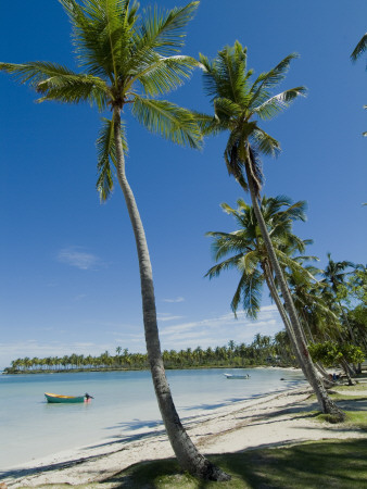 Casa Marina Bay Beach, Las Galeras, Dominican Republic by Natalie Tepper Pricing Limited Edition Print image