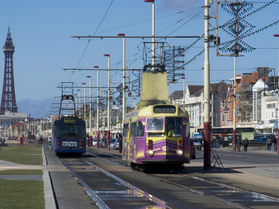 Trams On The Promenade With The Tower In The Background, Blackpool, Lancashire, England by Natalie Tepper Pricing Limited Edition Print image