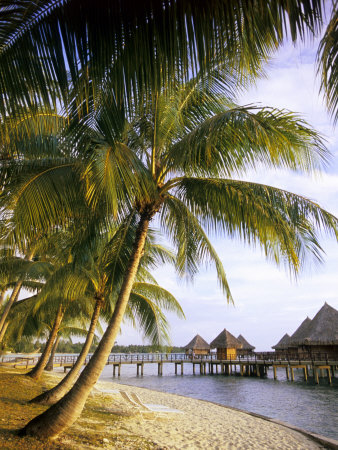 Over Water Bungalows, Rangiroa, French Polynesia by Michael Defreitas Pricing Limited Edition Print image