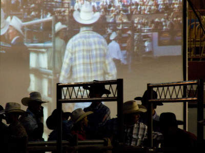Live And On The Screen, Santa Barbara Rodeo by Eloise Patrick Pricing Limited Edition Print image