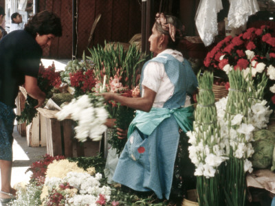 Oaxaca Seller by Eloise Patrick Pricing Limited Edition Print image