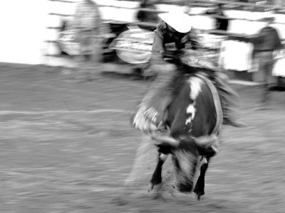 Bucking Bull, Santa Barbara Rodeo by Eloise Patrick Pricing Limited Edition Print image