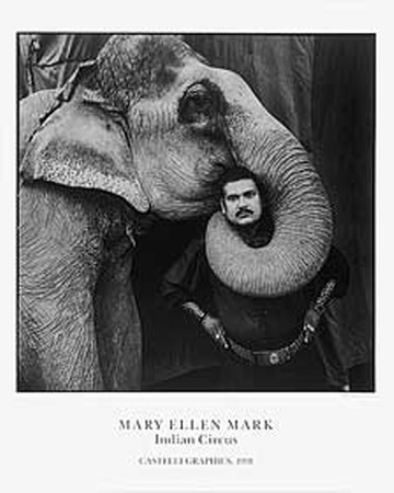 Ram Prakash Singh, Elephant by Mary Ellen Mark Pricing Limited Edition Print image