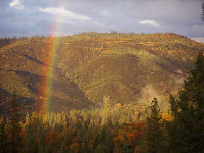 A Rainbow Arches Over A Clearcut In The Stanislaus National Forest by Phil Schermeister Pricing Limited Edition Print image