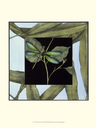 Dragonfly Inset I by Jennifer Goldberger Pricing Limited Edition Print image