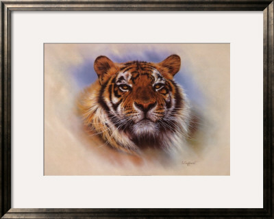 Tiger, Tiger, Burning Bright by Stuart Coffield Pricing Limited Edition Print image