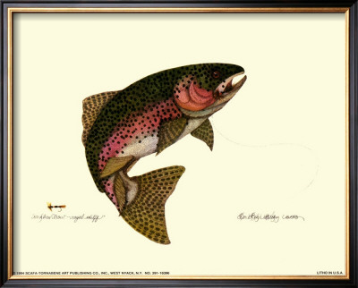 Rainbow Trout by Teri Renee Blehm Pricing Limited Edition Print image