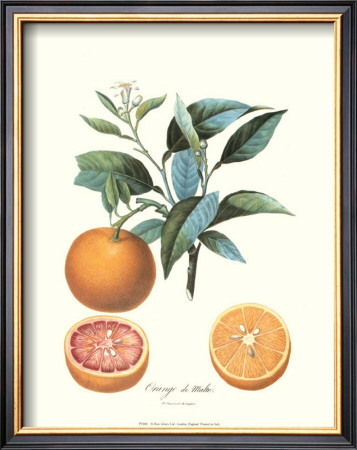 Orange by Pierre-Antoine Poiteau Pricing Limited Edition Print image