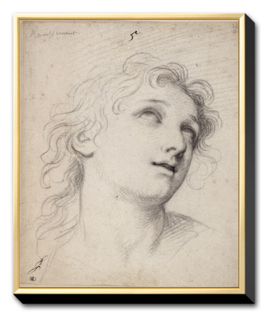 Album Expression Des Passions : Le Ravissement by Charles Le Brun Pricing Limited Edition Print image