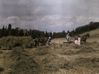 Farmers Work In A Field To Make Hay by Clifton R. Adams Pricing Limited Edition Print image