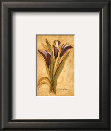 Designer Callas by Charlene Winter Olson Pricing Limited Edition Print image