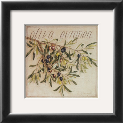 Oliva Europea by Vincent Jeannerot Pricing Limited Edition Print image