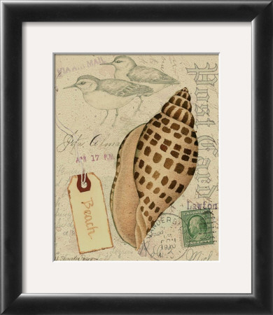 Postcard Shells I by Nancy Shumaker Pallan Pricing Limited Edition Print image