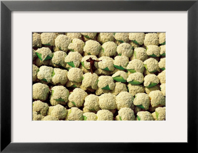 Ballots De Coton by Yann Arthus-Bertrand Pricing Limited Edition Print image