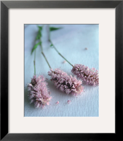 Doucer Du Matin by Amelie Vuillon Pricing Limited Edition Print image