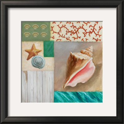 Shell Collage Ii by David Marrocco Pricing Limited Edition Print image