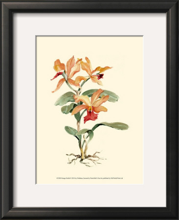 Orange Orchid by Joy Waldman Pricing Limited Edition Print image