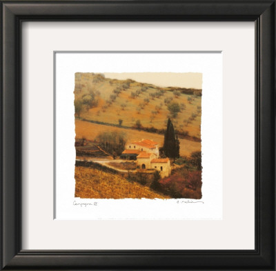 Campagna Iii by Amy Melious Pricing Limited Edition Print image