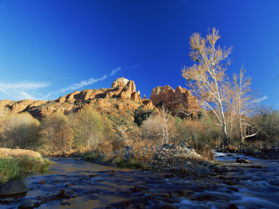 Oak Creek Running Before Cathedral Rocks, Red Rock Crossing, Sedona, Arizona, Usa by David Welling Pricing Limited Edition Print image