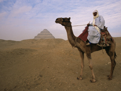Bedouin Camel Rider In Front Of Pyramid Of Djoser, Egypt, North Africa by Staffan Widstrand Pricing Limited Edition Print image