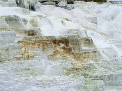 Limestone Formations At Minerva Hot Springs, Yellowstone National Park, Wyoming, Usa by David Welling Pricing Limited Edition Print image