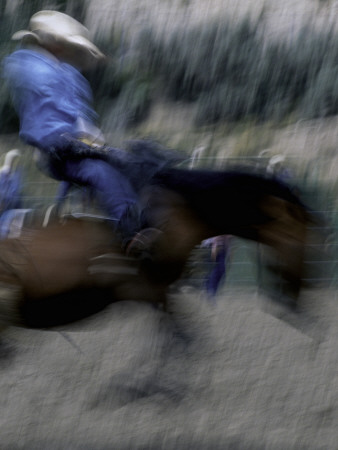 Horse Rider In Motion, Usa by Michael Brown Pricing Limited Edition Print image