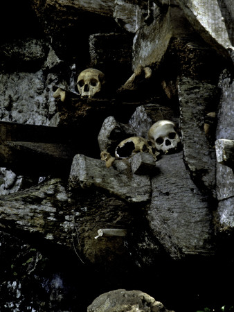 Skulls Amongst Rocks, Indonesia by Michael Brown Pricing Limited Edition Print image