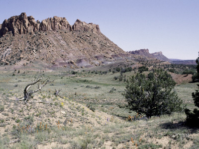 Desert Landscape, Usa by Michael Brown Pricing Limited Edition Print image