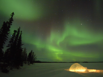 Igloo Lit Up At Night Under Northern Lights Northwest Territories, Canada March 2007 by Eric Baccega Pricing Limited Edition Print image