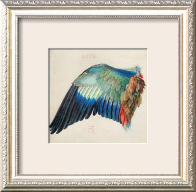 Wing Of A Roller by Albrecht Dürer Pricing Limited Edition Print image