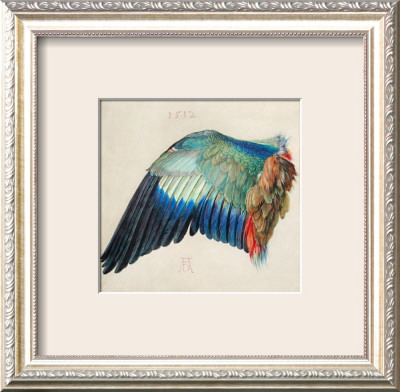 Wing Of A Roller by Albrecht Durer Pricing Limited Edition Print image