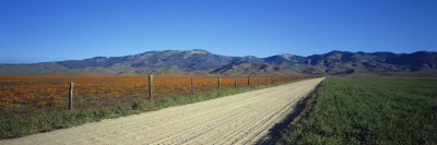 Road Along Farm, Antelope Valley, California, Usa by Panoramic Images Pricing Limited Edition Print image