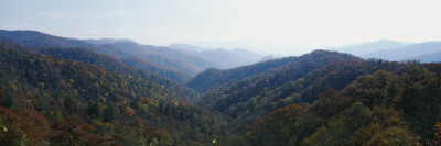 Mountains, Great Smoky Mountains, Great Smoky Mountains National Park, North Carolina, Usa by Panoramic Images Pricing Limited Edition Print image