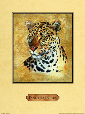 Leopard by Nancy Azneer Pricing Limited Edition Print image
