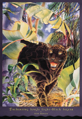 Enchanting Jungle Light, Black Jaguar by Joan Hansen Pricing Limited Edition Print image