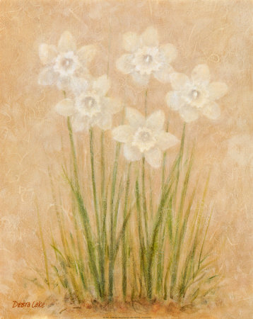 White Daffodils by Debra Lake Pricing Limited Edition Print image