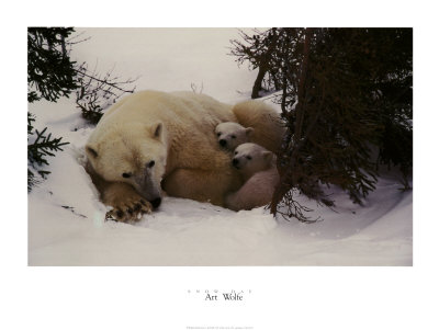 Snow Day by Art Wolfe Pricing Limited Edition Print image