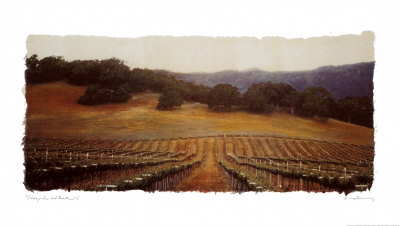 Vineyard And Oak I by Amy Melious Pricing Limited Edition Print image