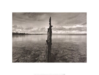 The Lake by Eddie Dayan Pricing Limited Edition Print image