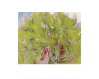Cottonwood Tree In Spring, 1943 by Georgia O'keeffe Pricing Limited Edition Print image