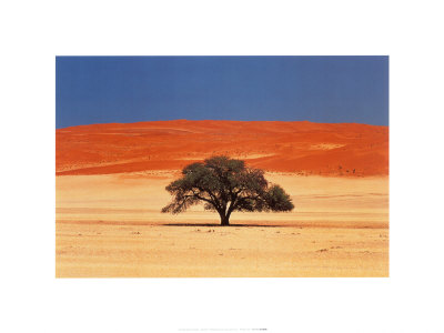 Namibia by J. P. Nacivet Pricing Limited Edition Print image