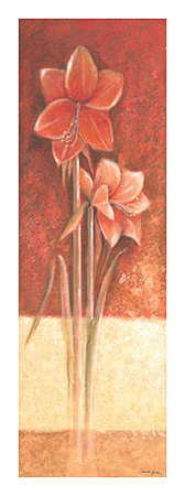Red Amaryllis by Laura Lynen Pricing Limited Edition Print image